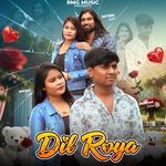 Dil Roya ( तेरी याद मे )