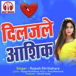 Diljale Aashik (Chhattisgarhi Song)