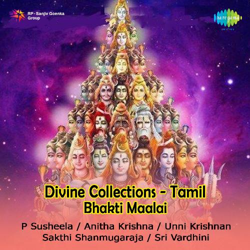 Divine Collections Saravana Bhavane