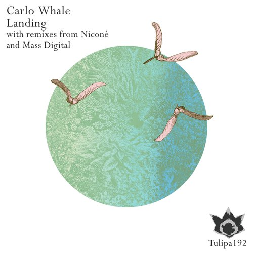 Landing (Nicone Remix) cover art