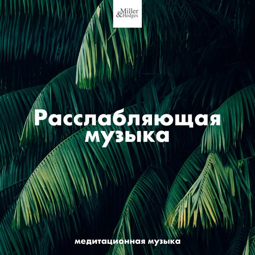 Исцеляющая музыка cover art
