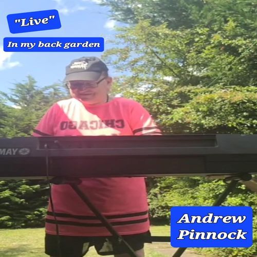 Techno150  (Live in my back garden July 2024 version)