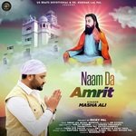 Naam Da Amrit