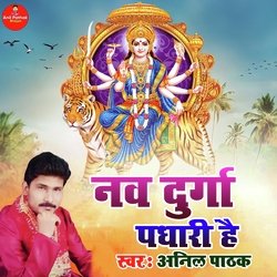 Nav Durga Padhari Hai