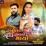 No Ball Ma Godi Ae Chhakko Maryo