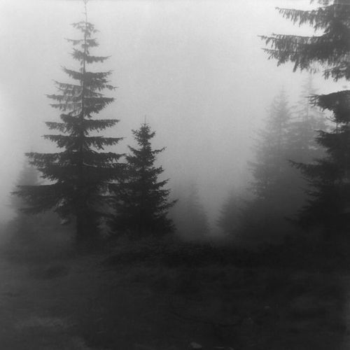 Renunciation