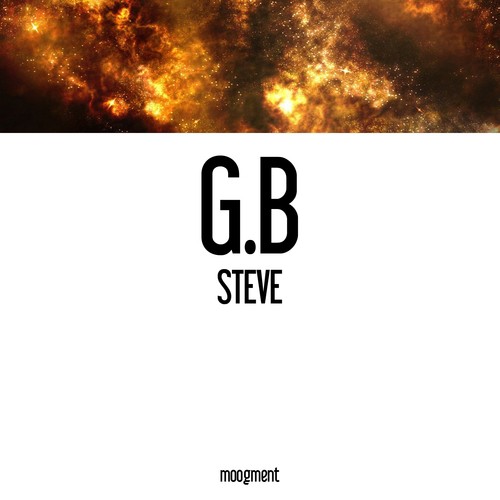 Steve cover art