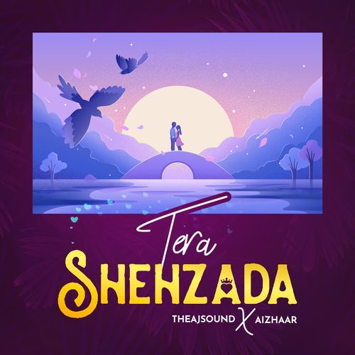 Tera Shehzada