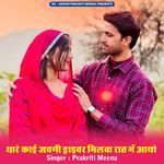 Thare Kai Jachagi Driver Milwa Raat Me Aayo