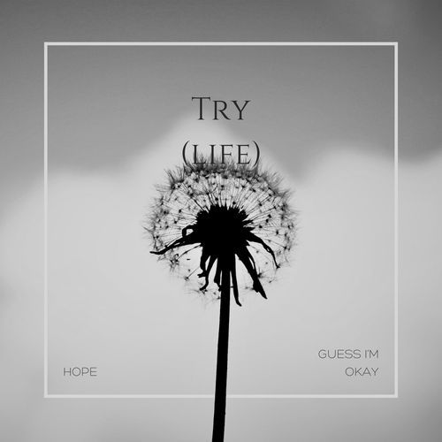 Try (life)_poster_image