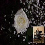 "When You're In Love" (feat. One White Rose)