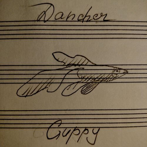 guppy (sped ud) cover art