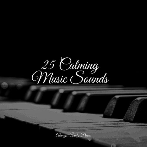 25 Calming Music Sounds