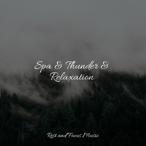 30 Ambient Sounds for Vibes & Serenity