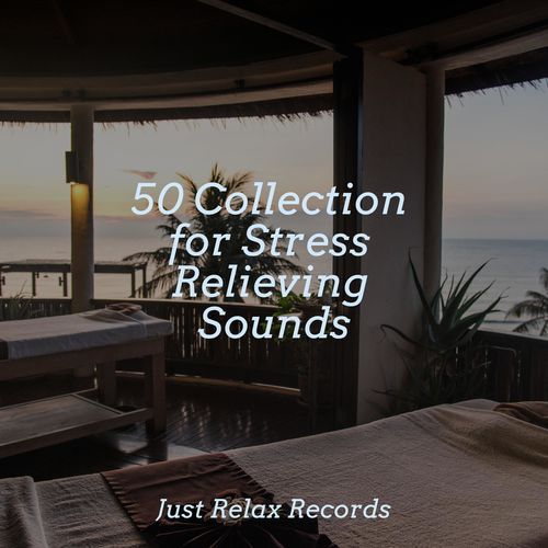 50 Collection for Stress Relieving Sounds