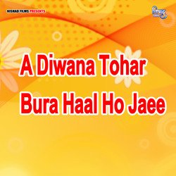 A Diwana Tohar Bura Haal Ho Jaee-RSFeWgZeDnE