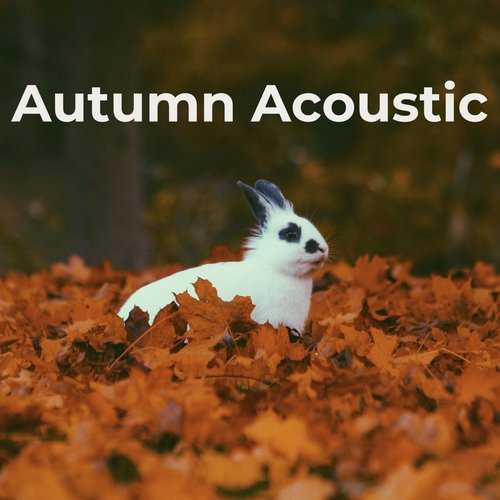 Autumn Acoustic_poster_image