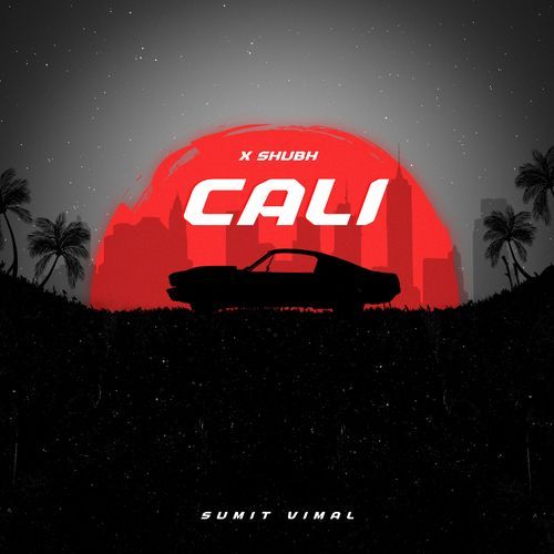 Cali X Shubh (Remix)