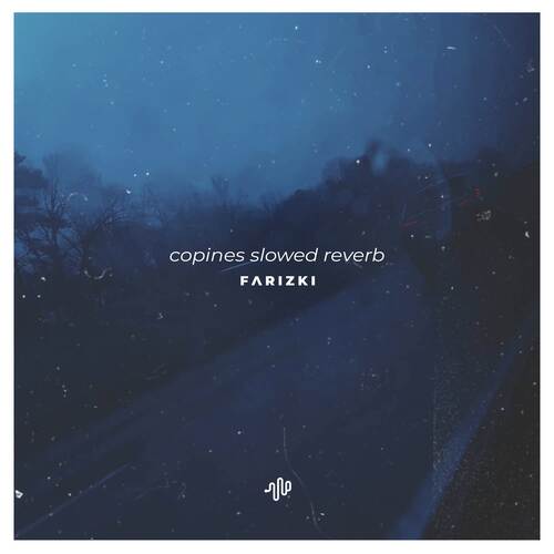 Copines (Slowed Reverb) Pota Pota Copines