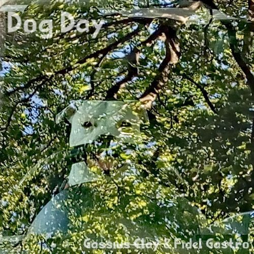 Dog Day cover art