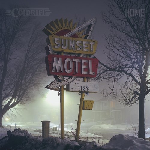 Gulls cover art