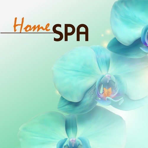 Home Spa - Pain Treatments & Deep Tissue Swedish Massage Music with Sounds of Nature for Wellness Center Therapists
