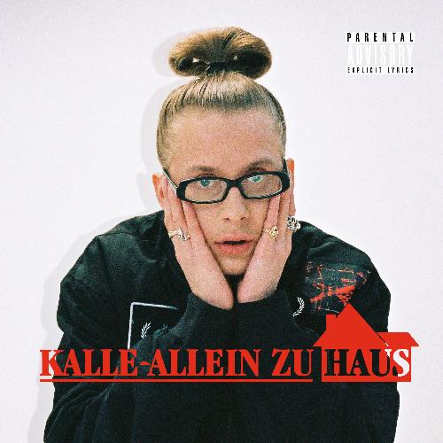 Kalle allein zu Haus_poster_image