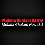 Mulana Ghulam Hazrat 3 artwork