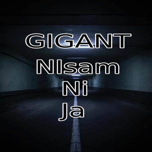 Nisam Ni Ja_poster_image