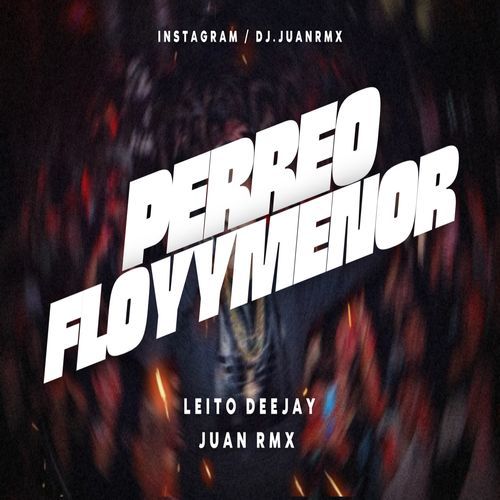 Perreo Floyymenor 2 cover art