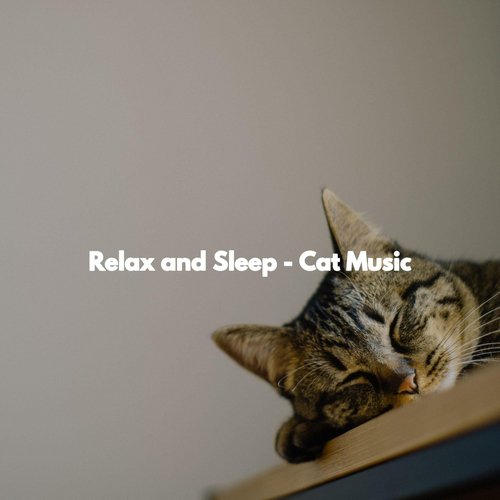 Relax and Sleep - Cat Music