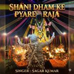 Shani Dham Ke Pyare Raja