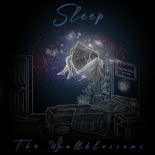 Sleep cover art