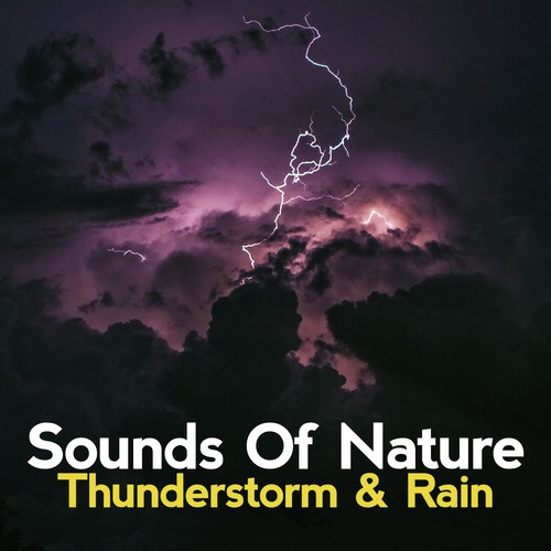 The Rain Sets In cover art