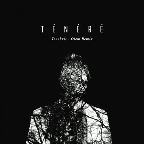 Tenebris (Olëm Remix)