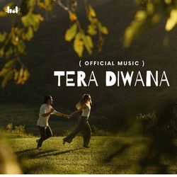 Tera Diwana