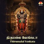 Thirumalai Venkata