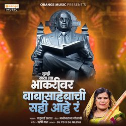 Tumhi Khata Tya Bhakari Ver Baba Sahebachi Sahi Hay R (Remix)