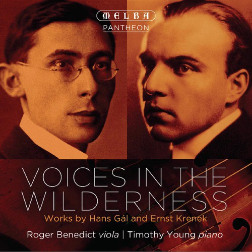 Voices in the Wilderness_poster_image