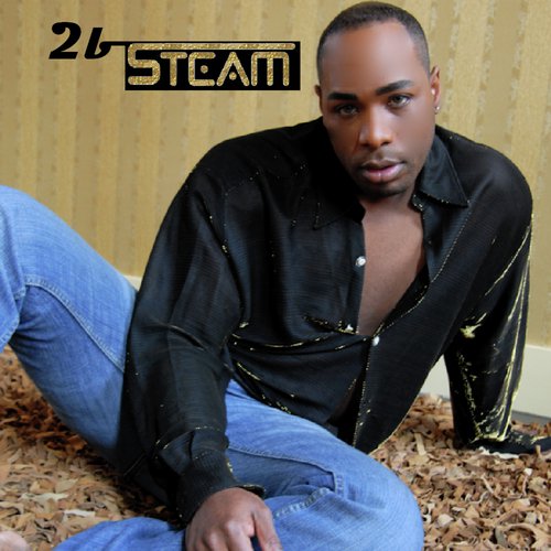 2bsteam