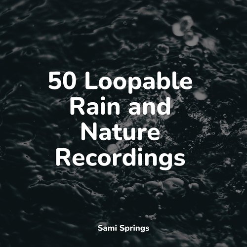 Soothing Ocean Sounds cover art