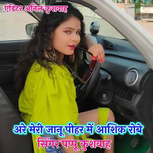 Are Meri Janu Pihar Me Aashiq Robe