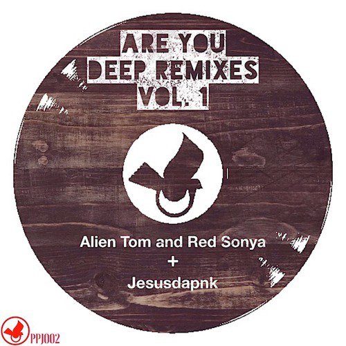 Are You Deep (Remixes, Vol. 1)