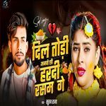 Dil Todi Manvo Chi Hardi Rasam Ge