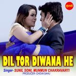 Dil Tor Diwana He