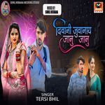 Diwani Juvanay Janu Janu