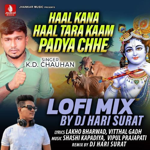 Haal Kana Haal Tara Kaam Padya Chhe Lofi Mix