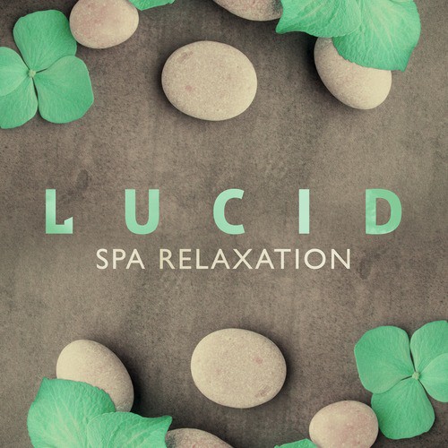 Lucid Spa Relaxation_poster_image