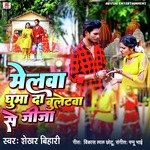 Melwa Ghuma Da Buletwa Se Jija