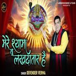 Mere Shyam Tu Lakhdatar Hai